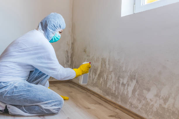 Licensed Crawl Space Mold Removal service in Princeton, KY - WQB Mold Removal