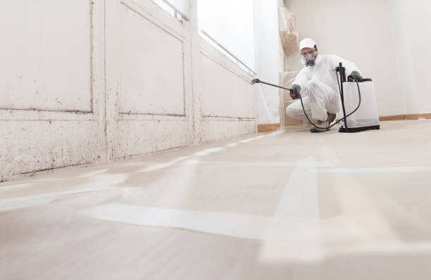 24/7 Emergency Crawl Space Mold Removal experts in Princeton, KY