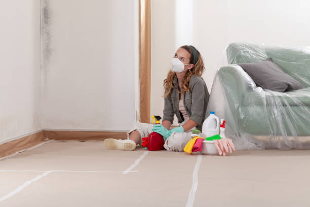 Reliable Crawl Space Mold Removal contractor in Princeton, KY by WQB Mold Removal