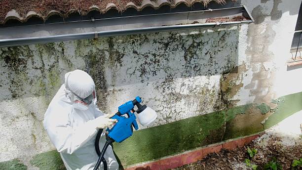 Top rated local Crawl Space Mold Removal specialists in Princeton, KY